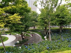 -北外滩滨江绿地