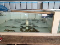 -蟹天蟹地农家菜·阳澄湖大闸蟹(浅水湾店)