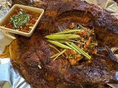 考罗非鱼-蜗牛小馆醉乡民谣云南菜(惠新西里店)