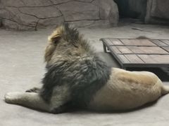 -鄂尔多斯野生动物园