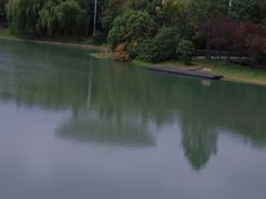 -上海佘山世茂艾美酒店