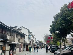 -三林塘老街