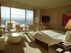 -拉斯维加斯永利酒店