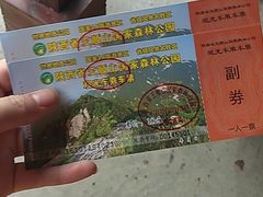 -王顺山国家森林公园