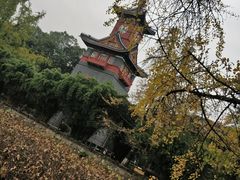 -四川大学(华西校区)