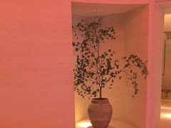-舒小悦·舒养SPA·古法推拿(光环中心店)