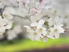 -徐家汇源景区-衡山公园