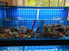 -佰园全日西餐厅-厦门佰翔软件园酒店