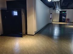 -万达影城(巴南万达广场IMAX店)