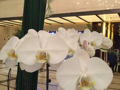 -广交会威斯汀酒店