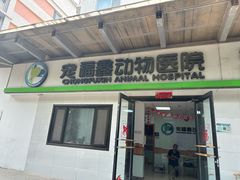 -宠福鑫动物医院(城北分院)