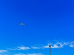 -海驴岛(荣成市)