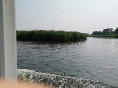 -白洋淀景区