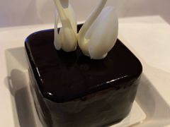 -BLACKSWAN黑天鹅(环球店)
