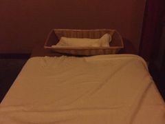 -智慧盲人按摩艾灸-颈肩腰膝疼痛调理(浦东店)