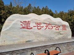 -莲花池公园