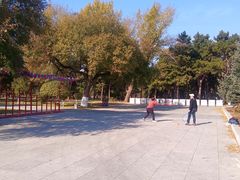 -北陵公园