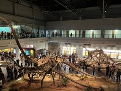 -自贡恐龙博物馆