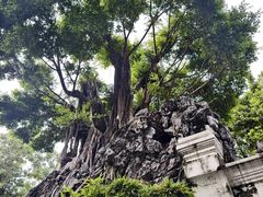 -荔湾湖公园