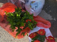 -金陵花卉交易市场