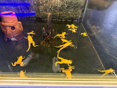 -大连圣亚海洋世界