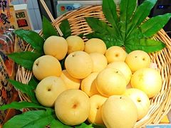 -东北美食汇