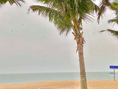 -玫瑰海岸文化旅游度假区