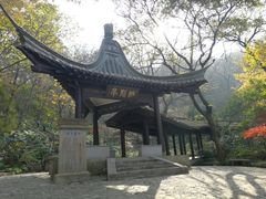 -镇江市南山风景名胜区竹林景区