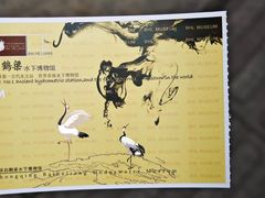 -白鹤梁水下博物馆