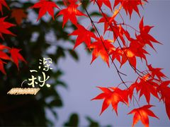 -秋霞圃