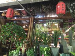 -宝鸡东道花鸟鱼虫市场(吉利花园商场店)