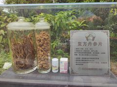 -广州神农草堂中医药博物馆