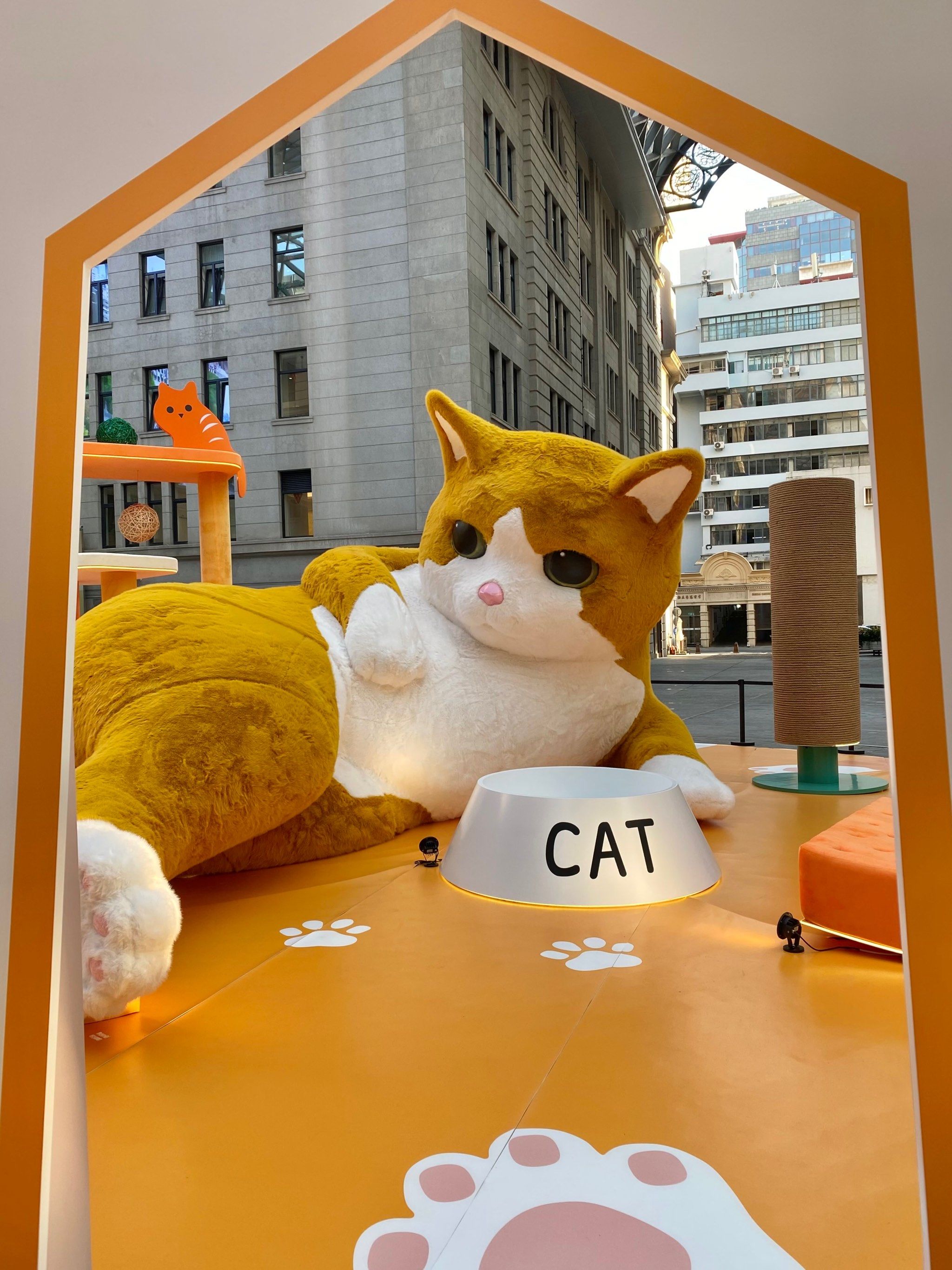 外滩惊现巨型猫咪!可爱疯了!