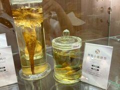 -广州神农草堂中医药博物馆