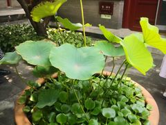-李叔同故居纪念馆