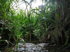 -维乐口腔医院(福清院)