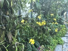 -东莞植物园