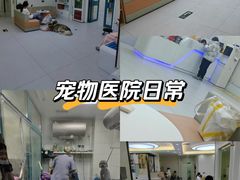 -达爱动物医院·犬猫分区·CT·复杂眼科(远洋山水分院)