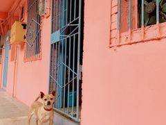 -石井坡(地铁站)