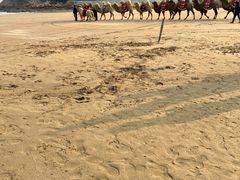 -东海半边山旅游度假区