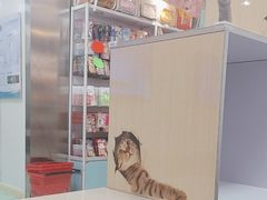-北京观赏动物医院·24小时大型综合·猫专科·异宠专科