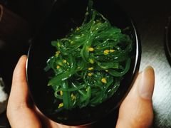 翡翠海草-春草居酒屋·晴子の店