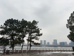 -天鹅湖体育公园