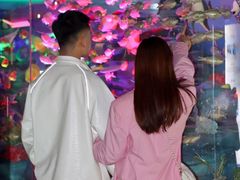 -成都泰迪熊博物馆