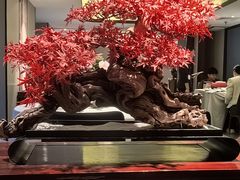 -顺峰(农展馆店)