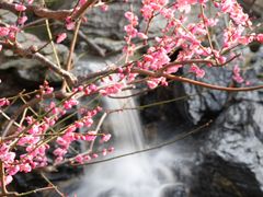 -静安雕塑公园