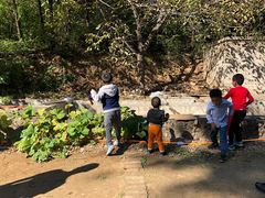 -荣德灶台鱼(圣泉寺店)