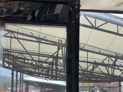 -移动谜城·大笨象密室逃脱(五棵松店)