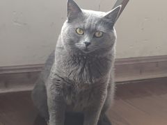 -南通奥特莱斯购物广场