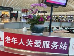 -郑州新郑国际机场-T2航站楼